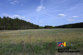 Działka budowlana o pow. 3020m2 w Bronkowie